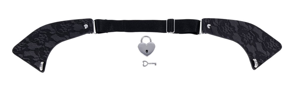 Heartbound Lace Day Collar - Black